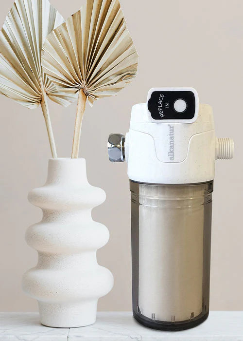 Filtro de ducha de doble filtración (50 litros reemplazable)